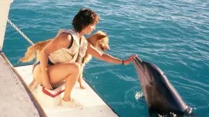 Задник до фильму"" #491447