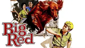 Задник до фильму"" #743545