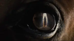 Задник до фильму"Бойовий кінь" #719024