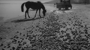 Задник до фильму"Іванове дитинство" #752633