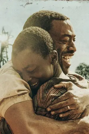 Постер до фильму"Хлопчик, який приборкав вітер" #752316