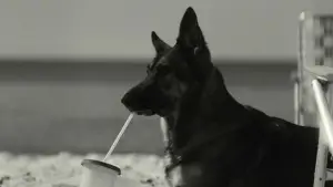 Задник до фильму"" #591189