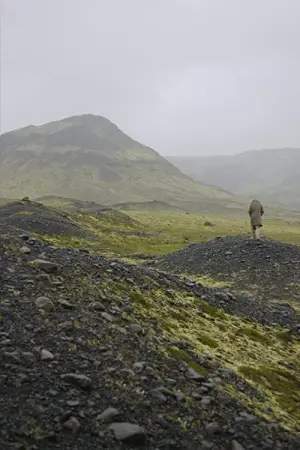 Постер до фільму "Babybird, Unborn"