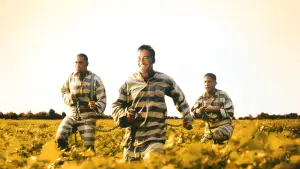 Задник до фильму"О, де ж ти, брате?" #810303