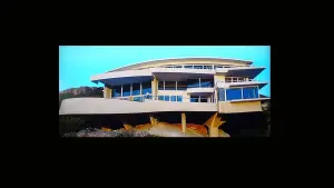 Задник до фильму"Спогади невдахи" #475604