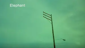 Задник до фильму"Слон" #792735