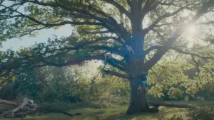 Задник до фильму"Бріджит Джонс: Закохана у хлопця" #590822