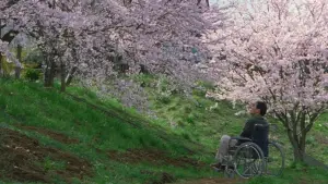 Задник до фильму"Феєрверк" #710949