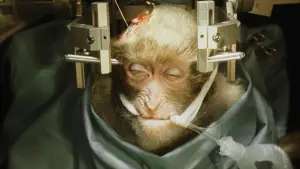 Задник до фильму"Фонтан" #791451