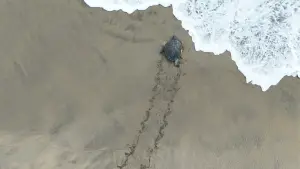 Задник до фильму"" #543138