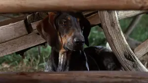 Задник до фильму"" #678433