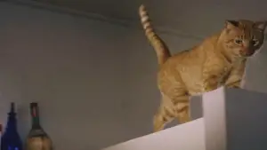 Задник до фильму"Сніданок у Тіффані" #648629