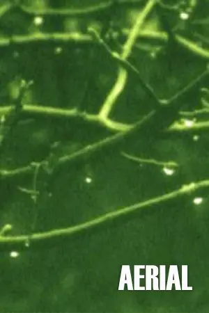 Постер до фильму"" #742748