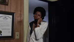 Задник до фильму"Красуня Шиба" #690477