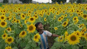 Задник до фильму"பறந்து போ" #784990