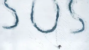 Задник до фильму"Арктика" #364806