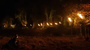 Задник до фильму"Таємничий ліс" #728820