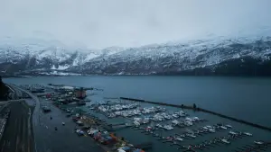 Задник до фильму"" #733832