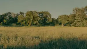 Задник до фильму"Мати!" #627110