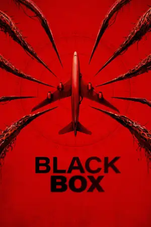Постер до фільму "Black Box (Flight 298)"