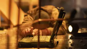 Задник до фильму"Код «Чорна канарка»" #623175