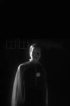 Постер до фільму "Le Fantôme Vagabond"