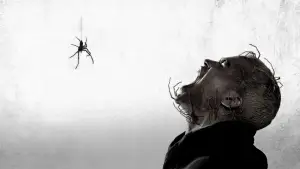 Задник до фильму"Павуче лігво" #755658