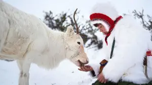 Задник до фильму"" #689870