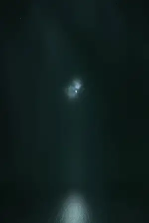 Постер до фільму "Wind"