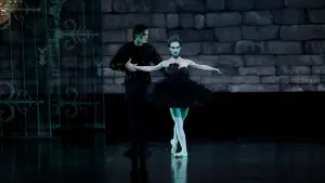 Задник до фильму"Чорний лебідь" #202221