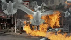 Задник до фильму"Птахи" #677222