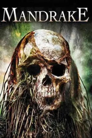 Постер до фильму"" #656625