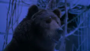 Задник до фильму"12 мавп" #772904