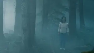 Задник до фильму"" #655260