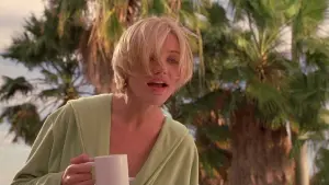 Задник до фильму"Всі шаленіють від Мері" #273197