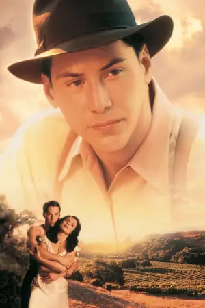 Постер до фильму"Прогулянка у хмарах" #741999