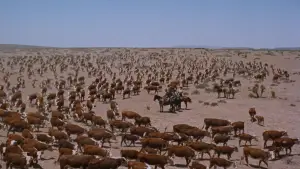 Задник до фильму"" #713257