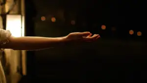 Задник до фильму"Таємничий ліс" #728826