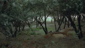 Задник до фильму"خانه‌ی دوست کجاست؟" #752474