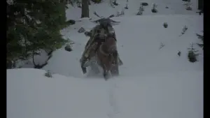 Задник до фильму"" #690718