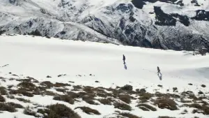 Задник до фильму"" #697813