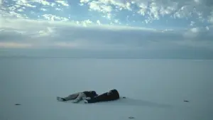 Задник до фильму"" #482533