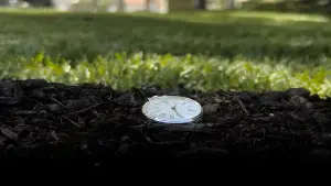 Задник до фильму"" #716689