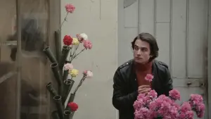 Задник до фильму"Подружнє гніздечко" #384734