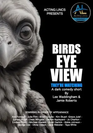 Birds Eye View