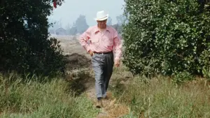 Задник до фильму"" #531325