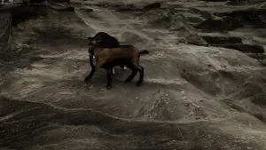 Задник до фильму"" #556026