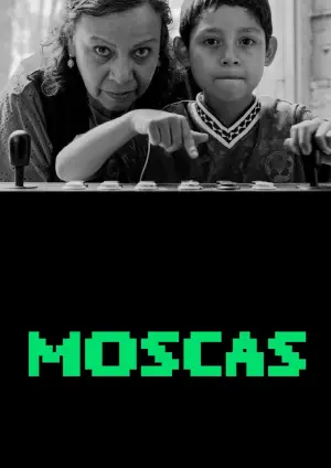 Moscas