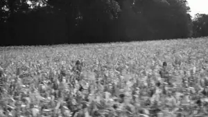 Задник до фильму"Спрінґстін: Врятуй мене від невідомого" #550900