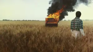 Задник до фильму"Урок фортепіано" #786729